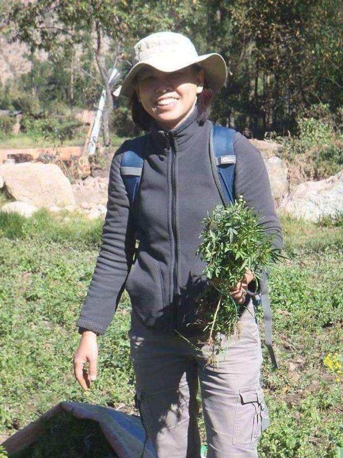New Experiences Valle Sagrado Bed and Breakfast Urubamba Εξωτερικό φωτογραφία